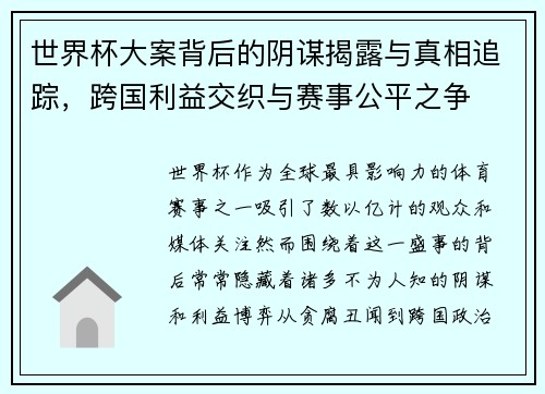 世界杯大案背后的阴谋揭露与真相追踪，跨国利益交织与赛事公平之争