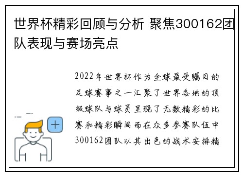 世界杯精彩回顾与分析 聚焦300162团队表现与赛场亮点