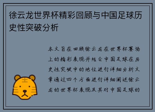 徐云龙世界杯精彩回顾与中国足球历史性突破分析